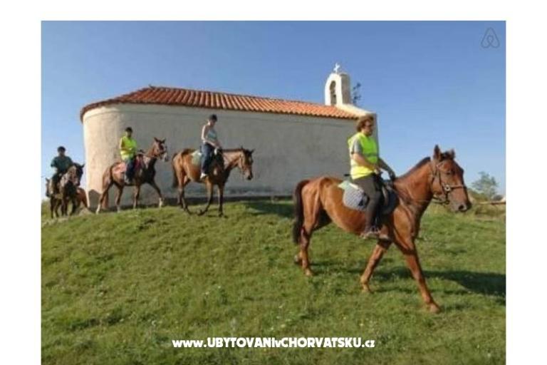 Appartementen Šarić – foto 9