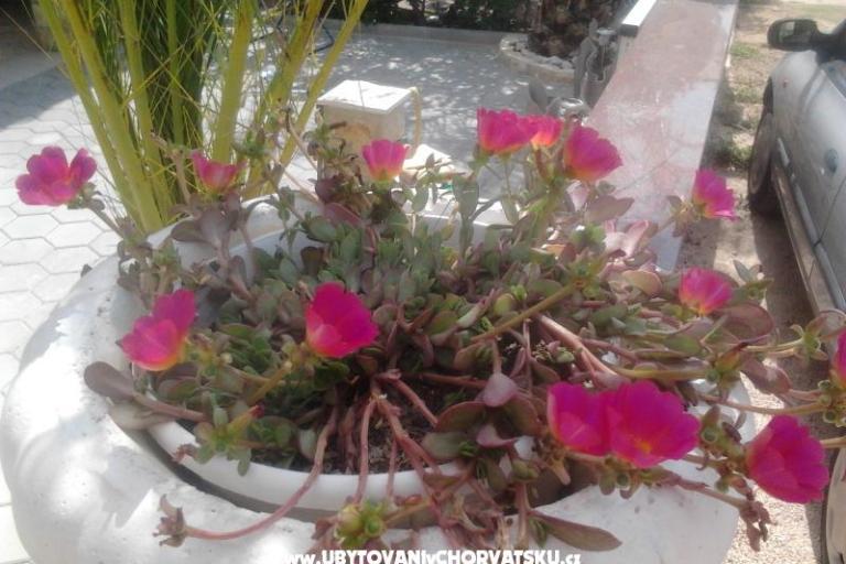 Appartementen Tiffany – foto 8