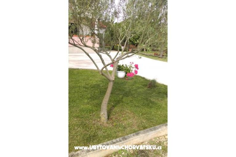 Appartementen Tomi – foto 12