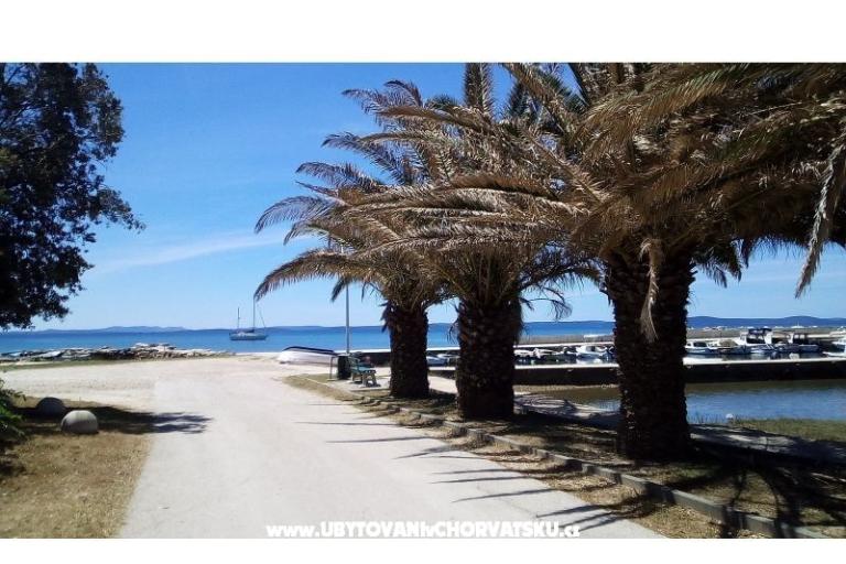 Appartementen Tomi – foto 4