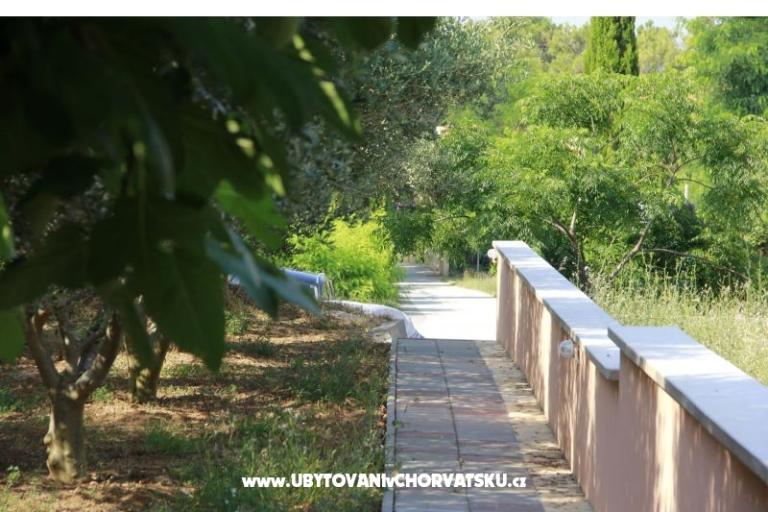 Appartementen Toni – foto 17