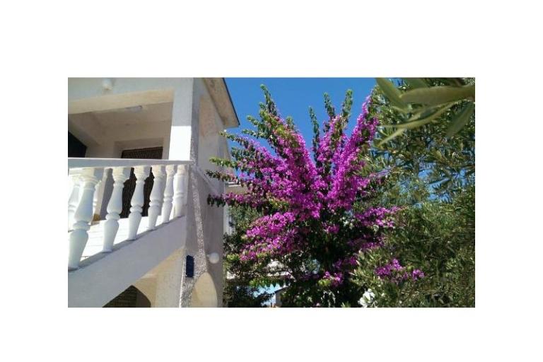 Appartementen Šime – foto 14