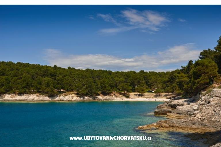 Appartement Sandra – foto 14