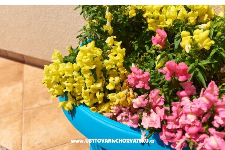 Appartement Sandra – foto 5