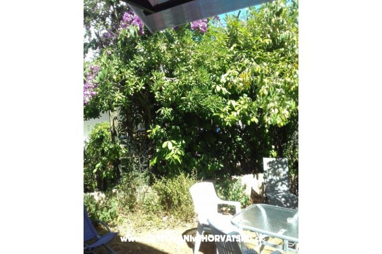 Appartement Zora Pula – foto 21