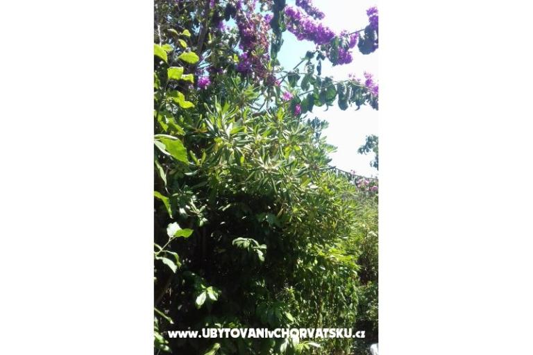 Appartement Zora Pula – foto 26