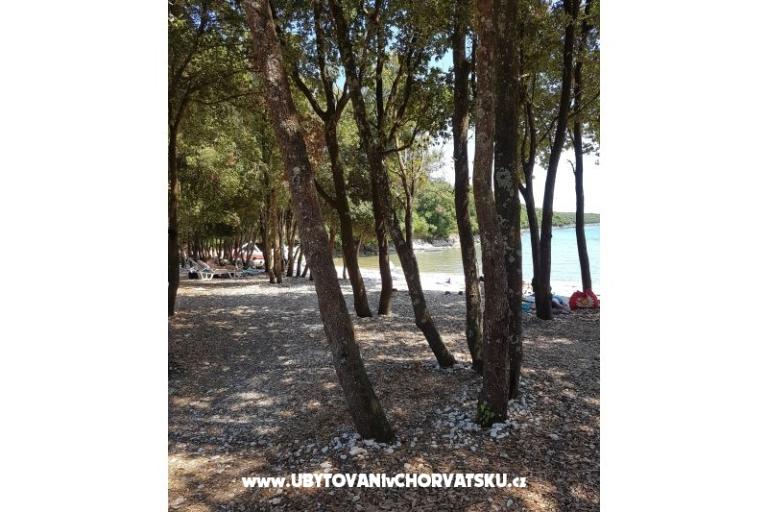 Appartementen Duga Uvala – foto 15