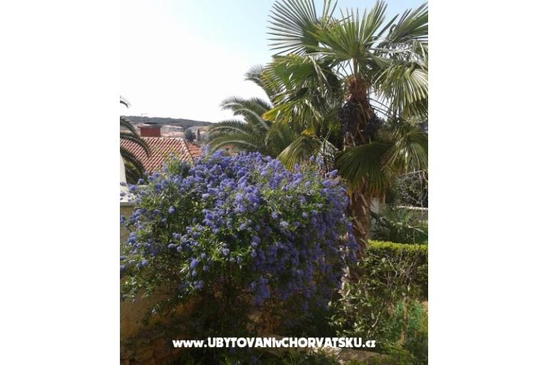 Appartementen Ivana – foto 14