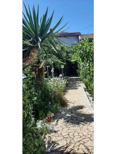 Appartementen Alida Stinjan – foto 21