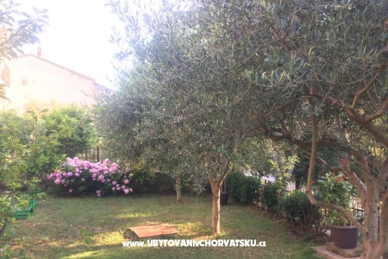 Appartementen Tea – foto 12