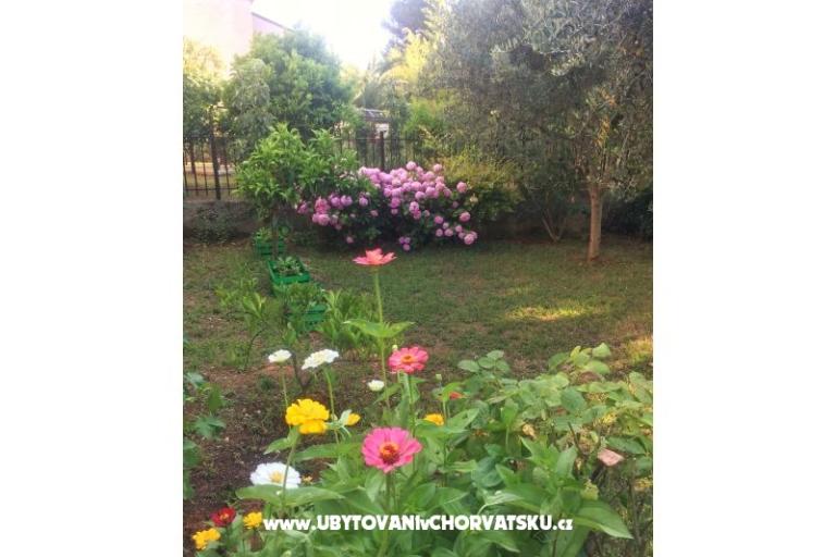 Appartementen Tea – foto 13