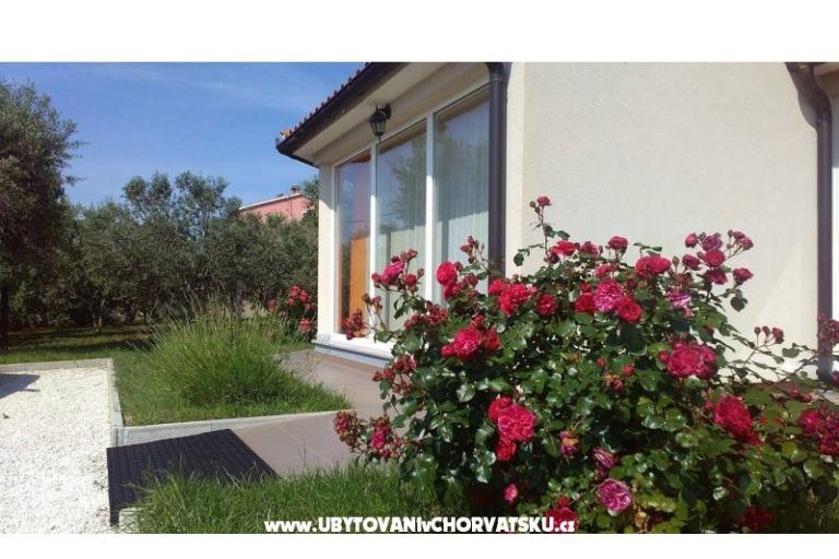 Vakantiehuis Brcina – foto 7