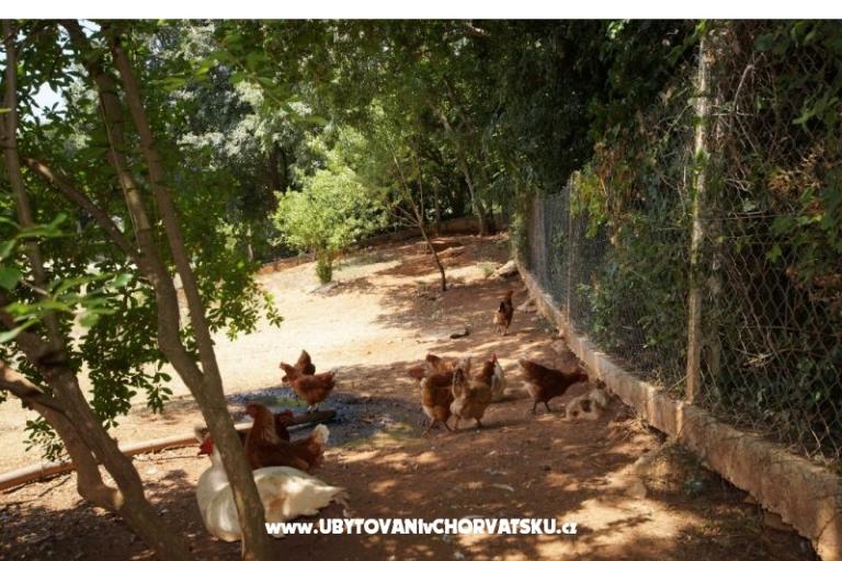 Huis Corina – foto 18