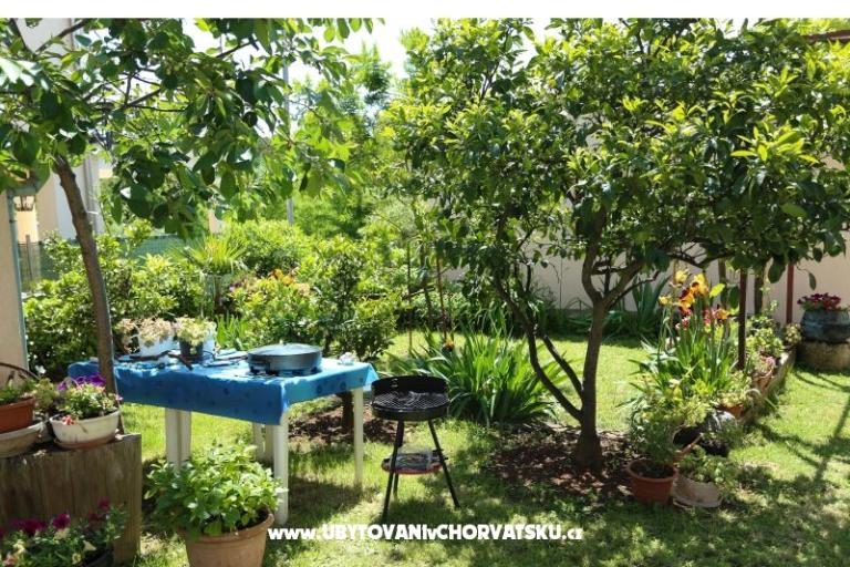 Štinjan apartmani Elda – foto 14