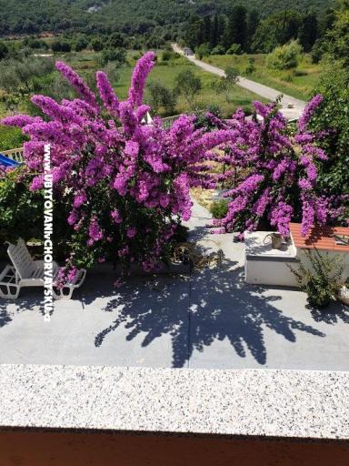 Appartementen Lupić – foto 16