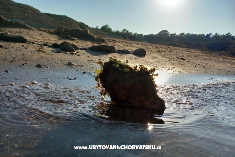 Appartementen Mira – foto 23