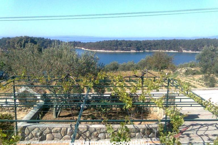 Appartementen Mlacović – foto 10