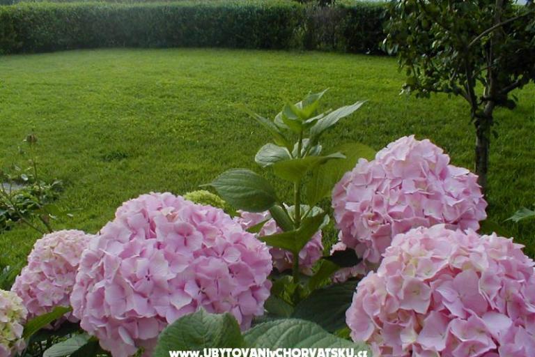 Appartementen Natalija – foto 5