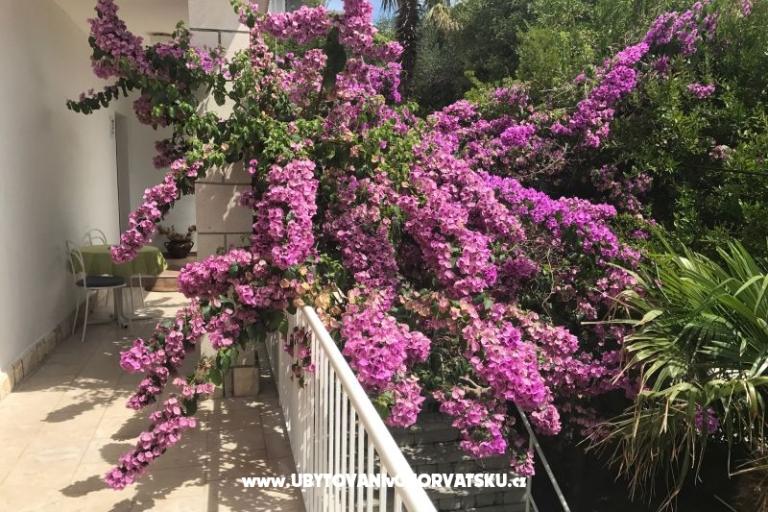 Appartementen  Španjol – foto 4