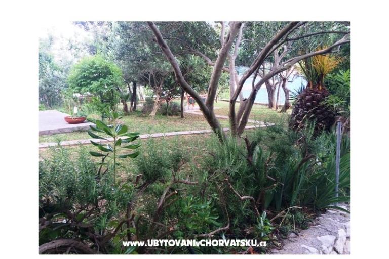 Appartementen Supetarska Draga – foto 15