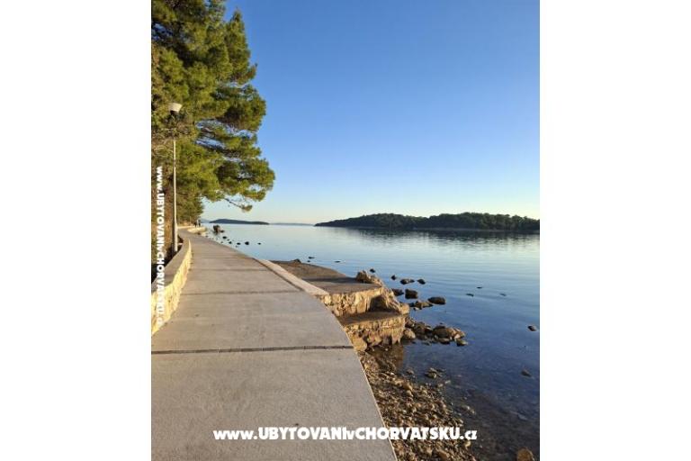 Appartementen Palit Rab – foto 4