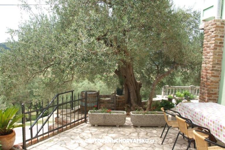 Appartementen Dumičić – foto 2