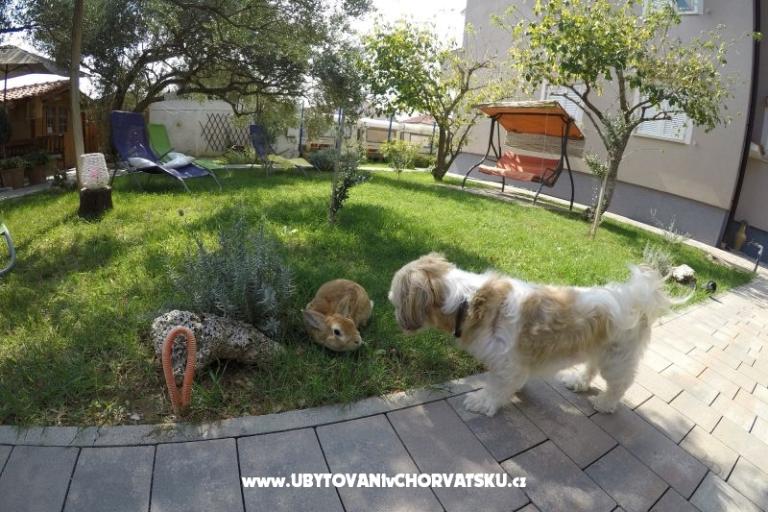 Appartementen- Villa Ilijic – foto 11