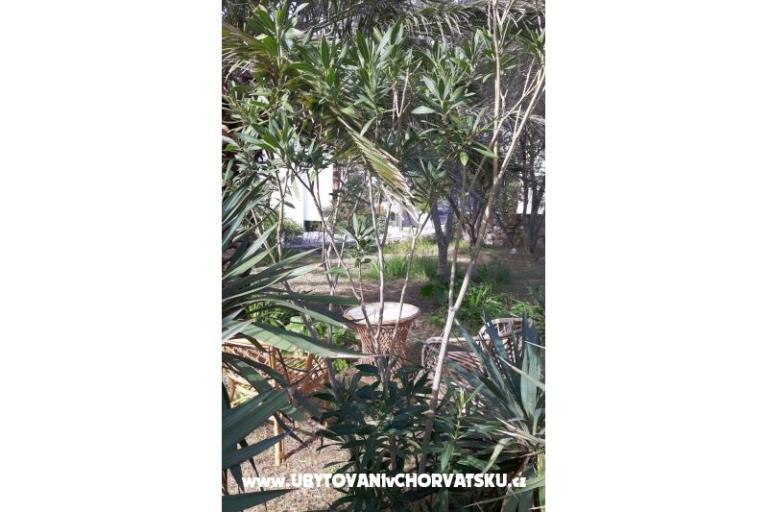 Kamers Jadra – foto 6