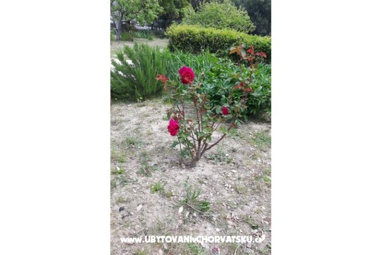 Kamers Jadra – foto 7