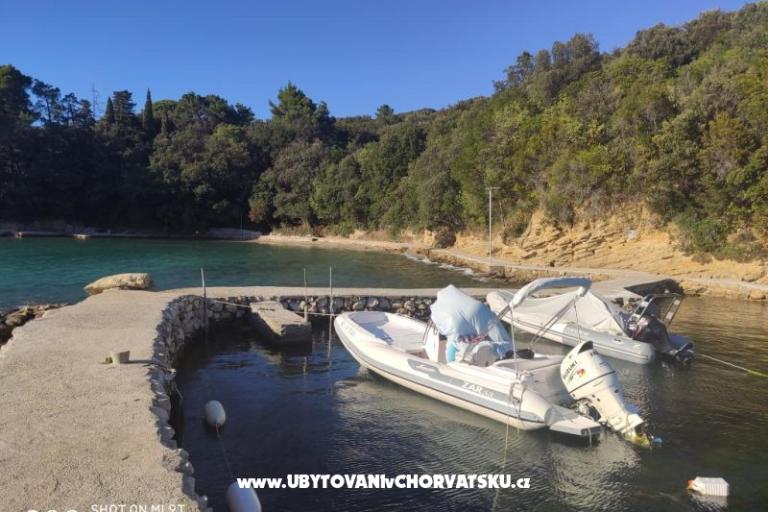 Appartementen uvala Vardoža – foto 49