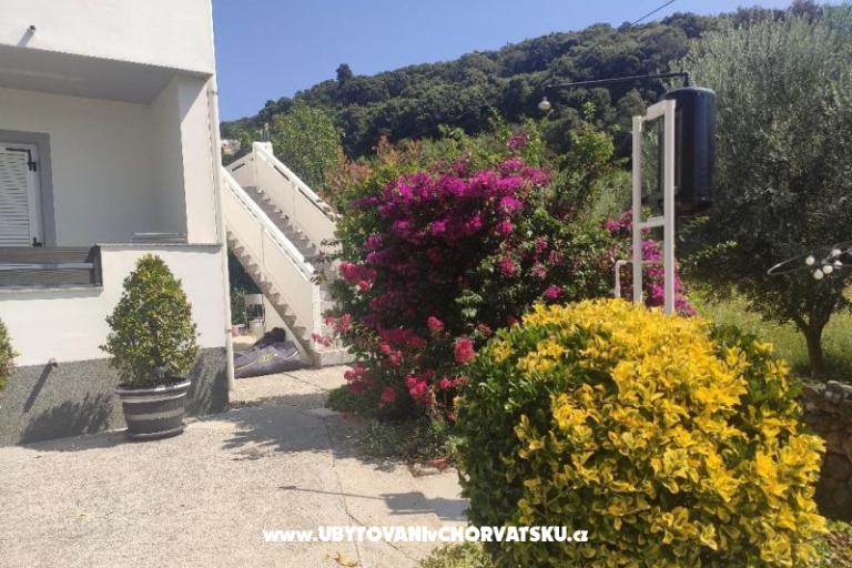 Appartementen uvala Vardoža – foto 54