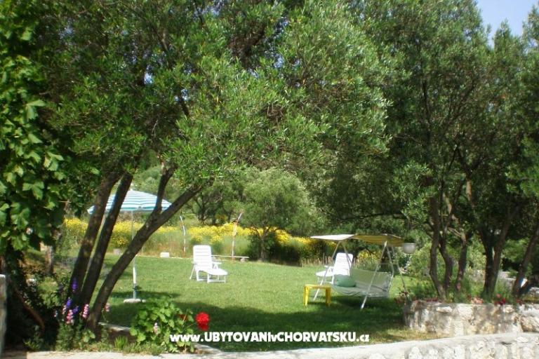 Huis Zorka – foto 3