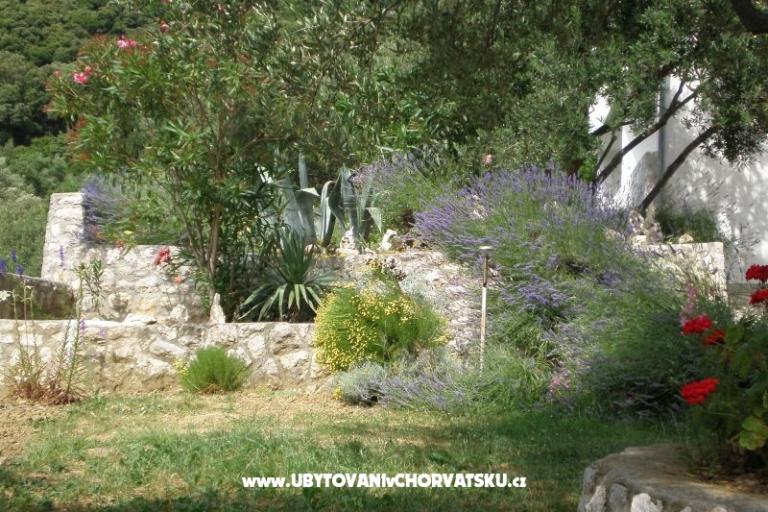 Huis Zorka – foto 9