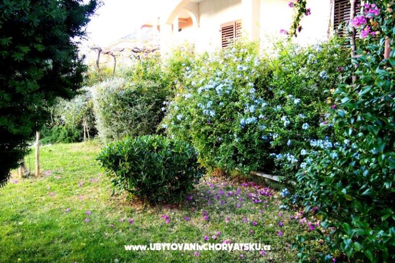 Huis Ivanić – foto 2