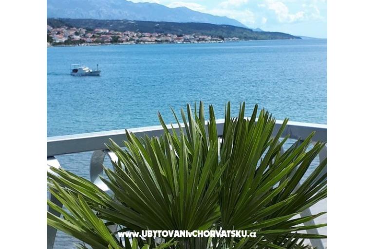 La Gatta Appartementen – foto 3