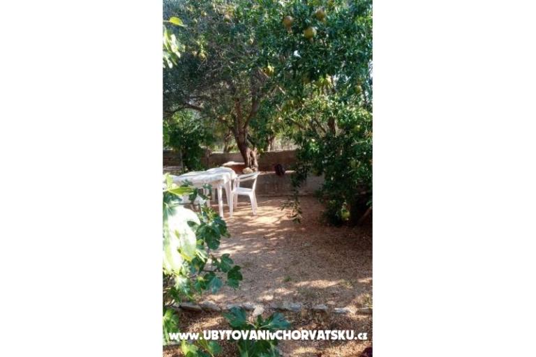 Studio Appartementen Vidas – foto 13