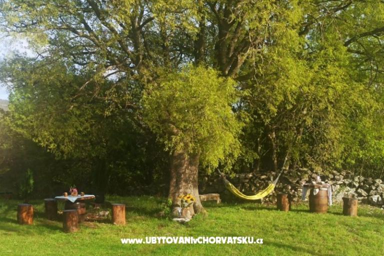 Traditional Istrian Huis ENI – foto 11