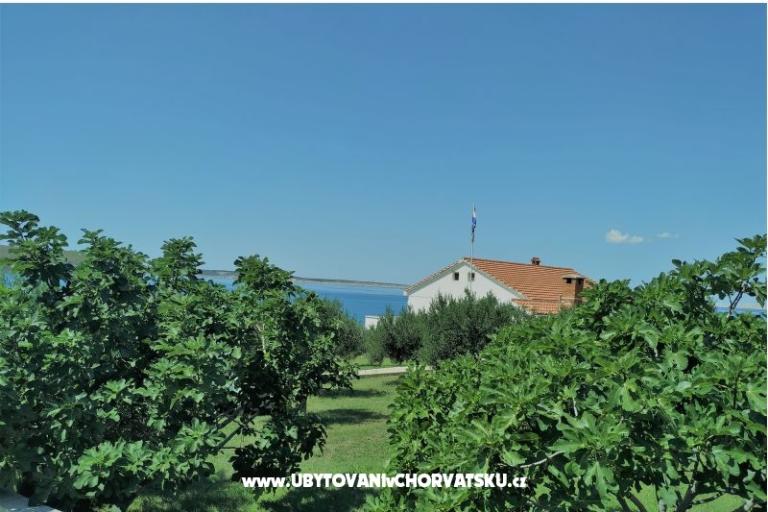 Appartement Miočić - Adam – foto 13