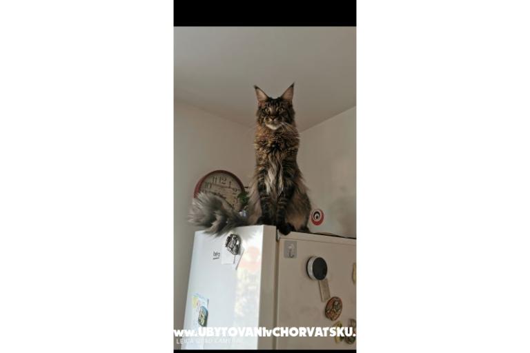 Appartementen CAPE – foto 35