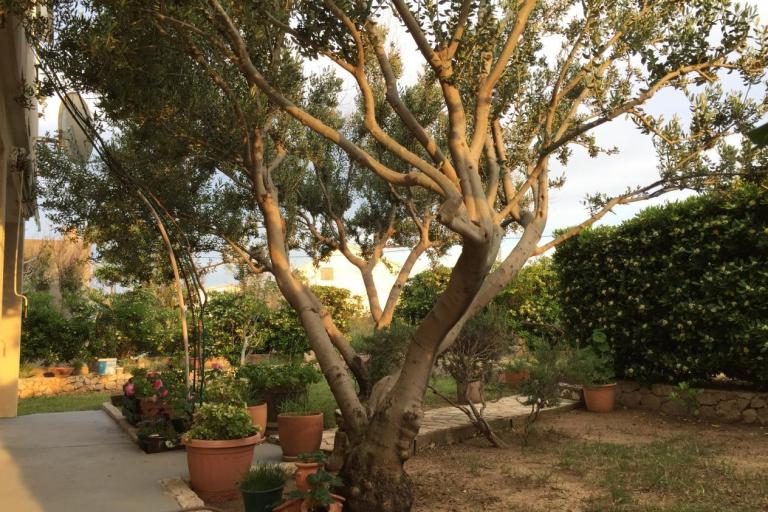 Appartementen Biba i Luce – foto 2