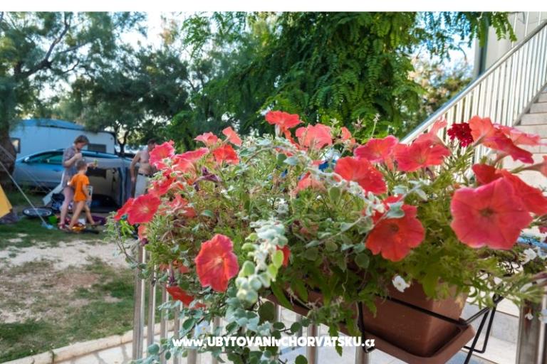 Appartementen Puntica – foto 3