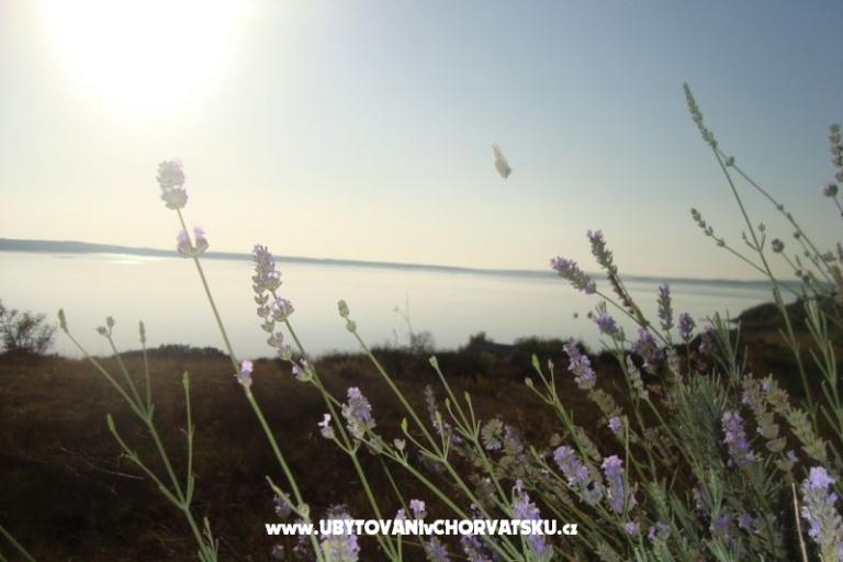 Appartement Marijan – foto 9