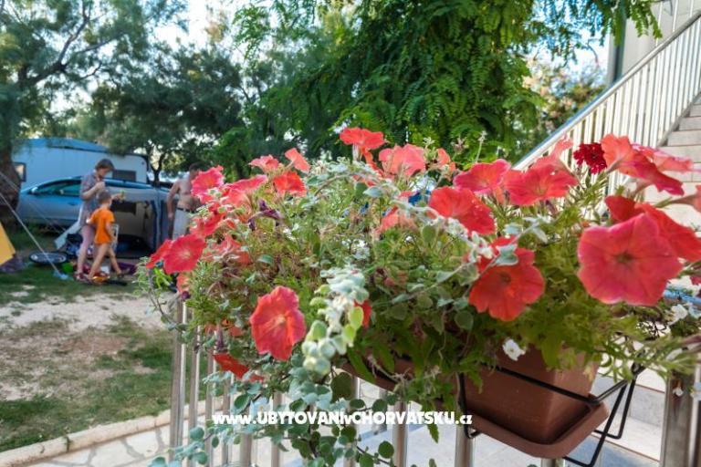 Appartementen Puntica – foto 2