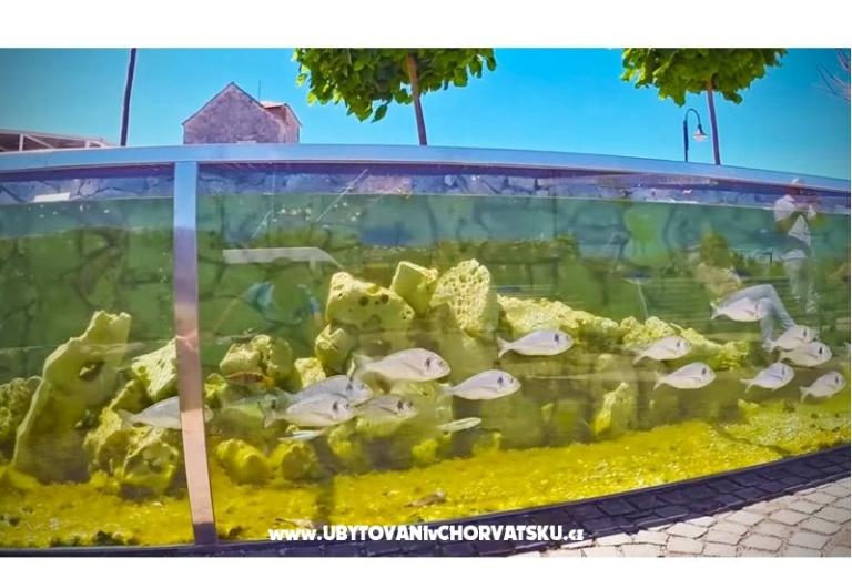 Appartement Amfora – foto 16