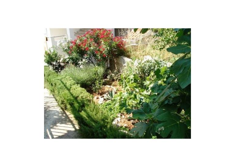 Appartementen Ante – foto 8