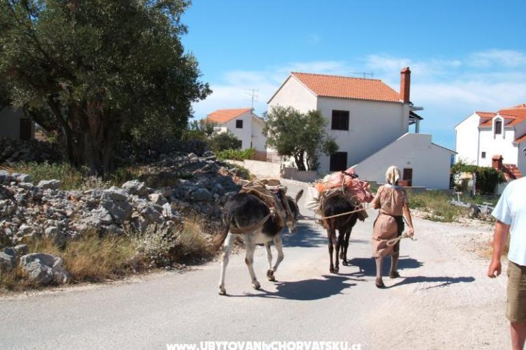 Appartementen Bačić – foto 17