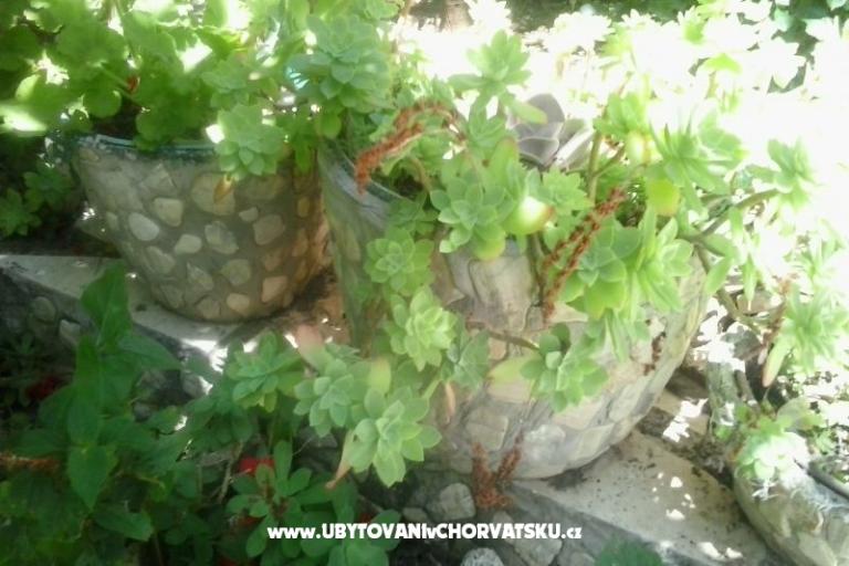 Appartementen Baković – foto 6