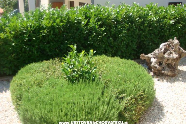 Appartementen Bartolić – foto 13