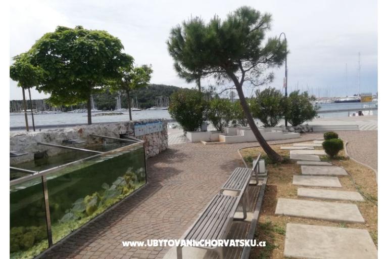 Appartementen Diana – foto 5