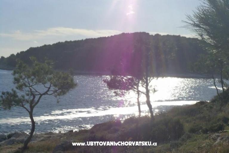 Appartementen Domino – foto 6